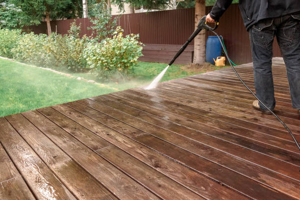 Best Fence Cleaning  in Chena Ridge, AK